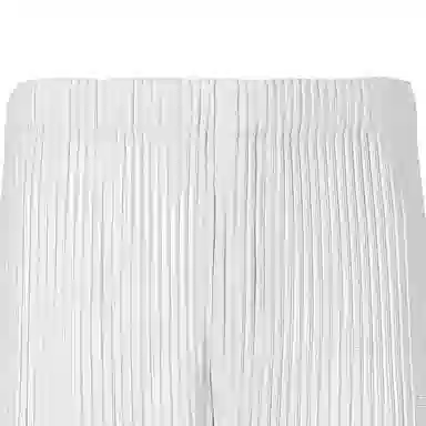 Homme Plissé Issey Miyake