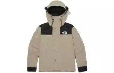 THE NORTH FACE Eco Gtx Logo