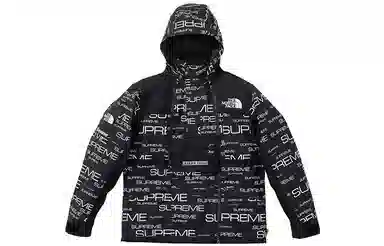 Supreme x The North Face