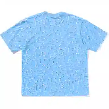 A BATHING APE FW24 Blue