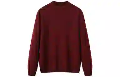 恒源祥 加厚半高领提花针织毛衣 男款