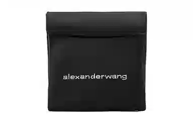 alexander wang logo