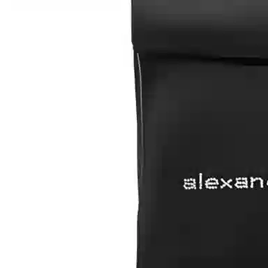alexander wang logo