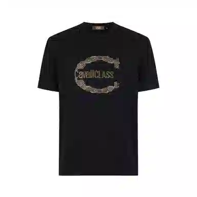 Cavalli Class T