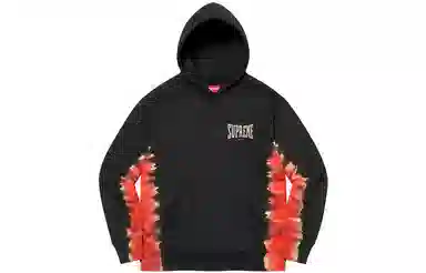 Supreme FW21 Bleached Hooded Sweatshirt