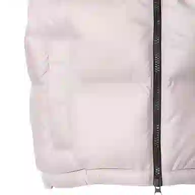 THE NORTH FACE Nupsi FW24 WL logo