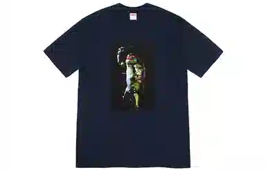 Supreme Raphael Tee