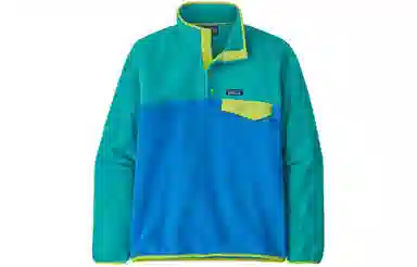 patagonia Synchilla Snap-T Logo