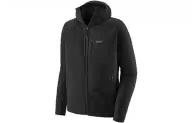 patagonia R2 TechFace Logo