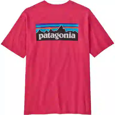patagonia P-6Logo Responsibili LogoT