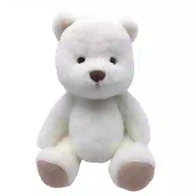 30cm