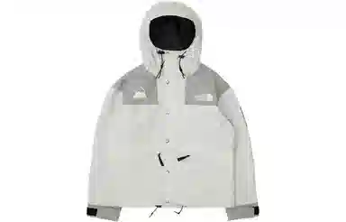 THE NORTH FACE FW22 logo