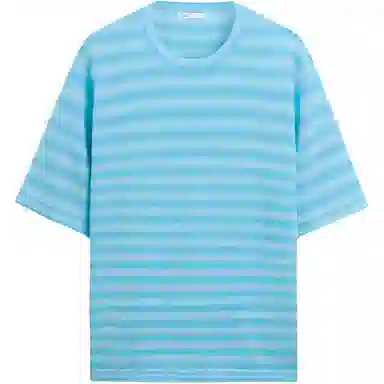 ZARA T