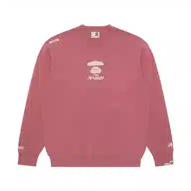 Aape FW24