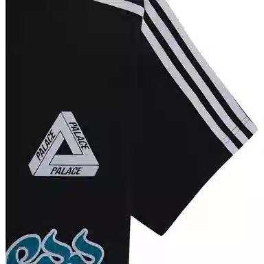 PALACE x adidas originals Wellness Graphic Short Sleeve Tee LogoT