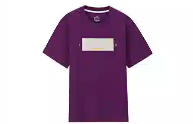 361 T