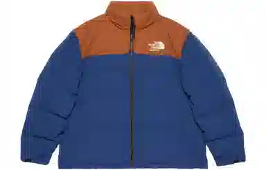 GUCCI x THE NORTH FACE FW22 Logo