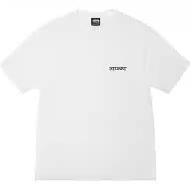 Stussy SS25 JUMBO TEE PIGMENT DYED logoT