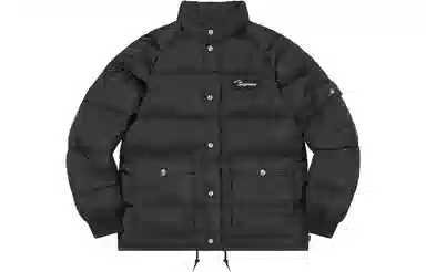 Supreme x Polartec Raymond Pettibon Puffer Jacket