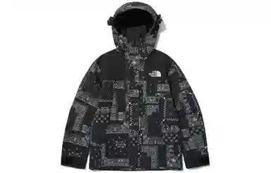 THE NORTH FACE 1990 GORE-TEX Logo