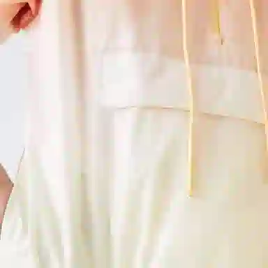 Lacoste FW22 Printed Hoodie