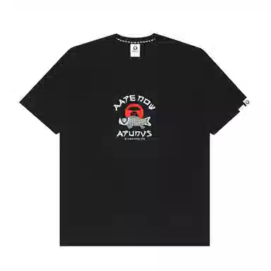 Aape T