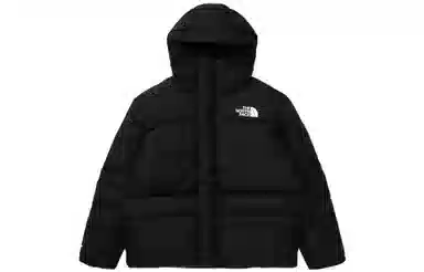 THE NORTH FACE Logo