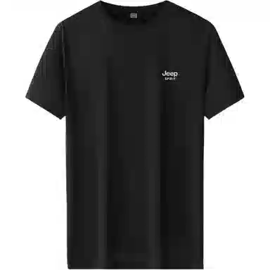 JEEP SPIRIT T