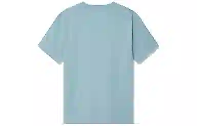 levis T