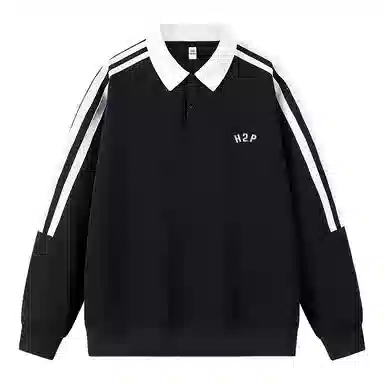 H2P logoPOLO