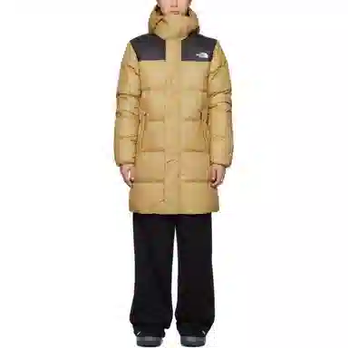 THE NORTH FACE FW22 Logo