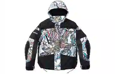 Supreme x The North Face Steep Tech Apogee Jacket