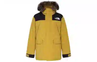 THE NORTH FACE Logo