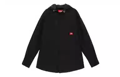 Dickies FW22 Logo