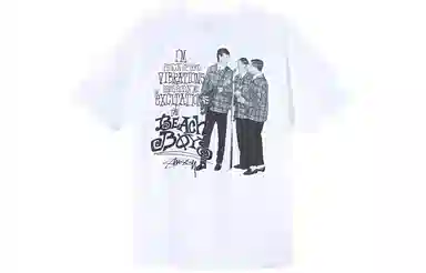 Stussy The Beach Boy T