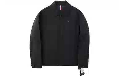 Tommy Hilfiger Logo