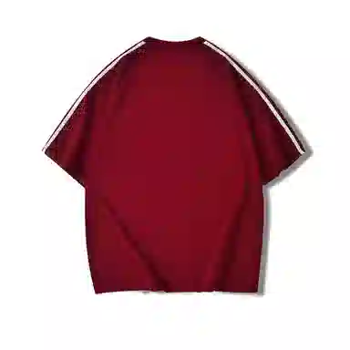 HIPANDA T