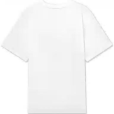 levis T