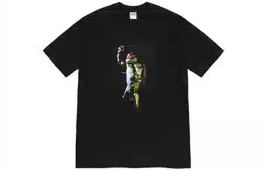 Supreme Raphael Tee