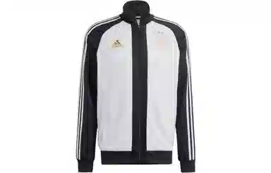 adidas Dfb Dna Tt Logo