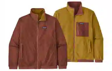patagonia Logo