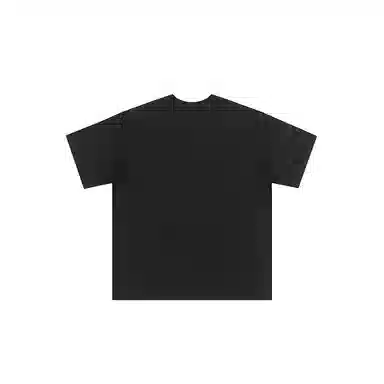 FEAROM T