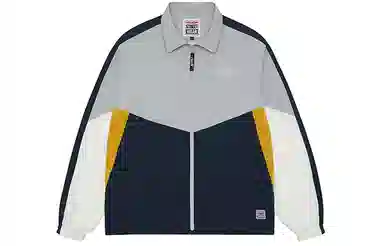 Vision Street Wear Logo