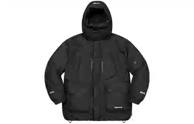 Supreme FW22 GORE-TEX Parka