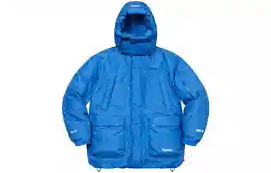 Supreme FW22 GORE-TEX Parka