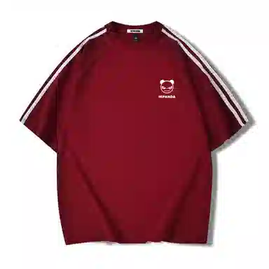 HIPANDA T