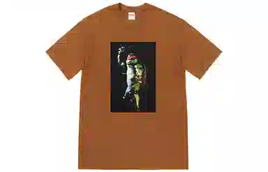 Supreme Raphael Tee