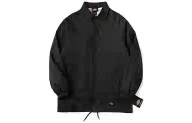 Dickies Logo