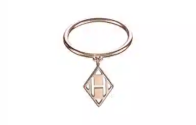 HERMES Gambade H Logo