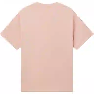 levis T